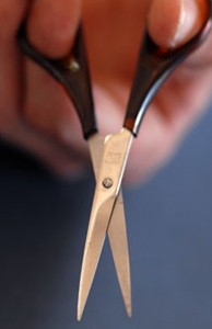 Thin Blade Scissor